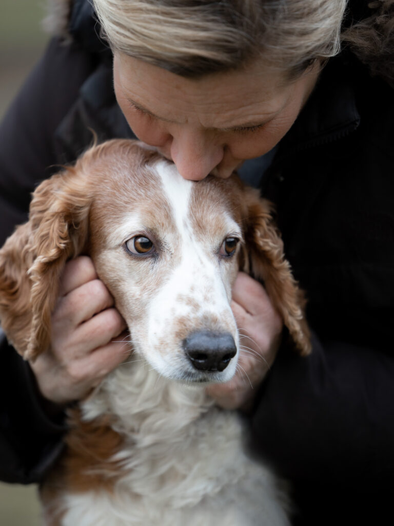 Hundefotografering med ejere af fotograf Connie Westergaard