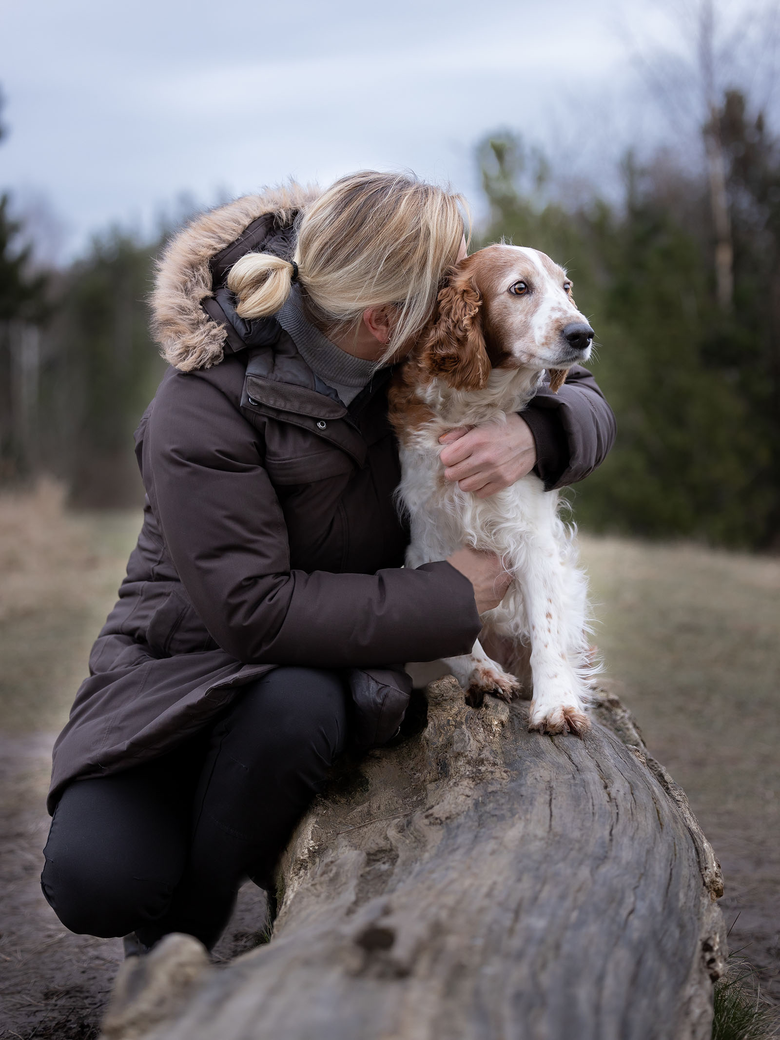 Hundefotografering af fotograf Connie Westergaard