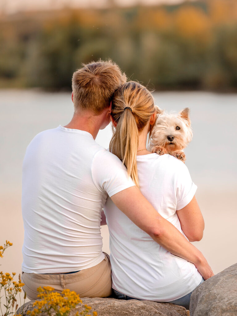 'End of life' hundefotografering af fotograf Connie Westergaard