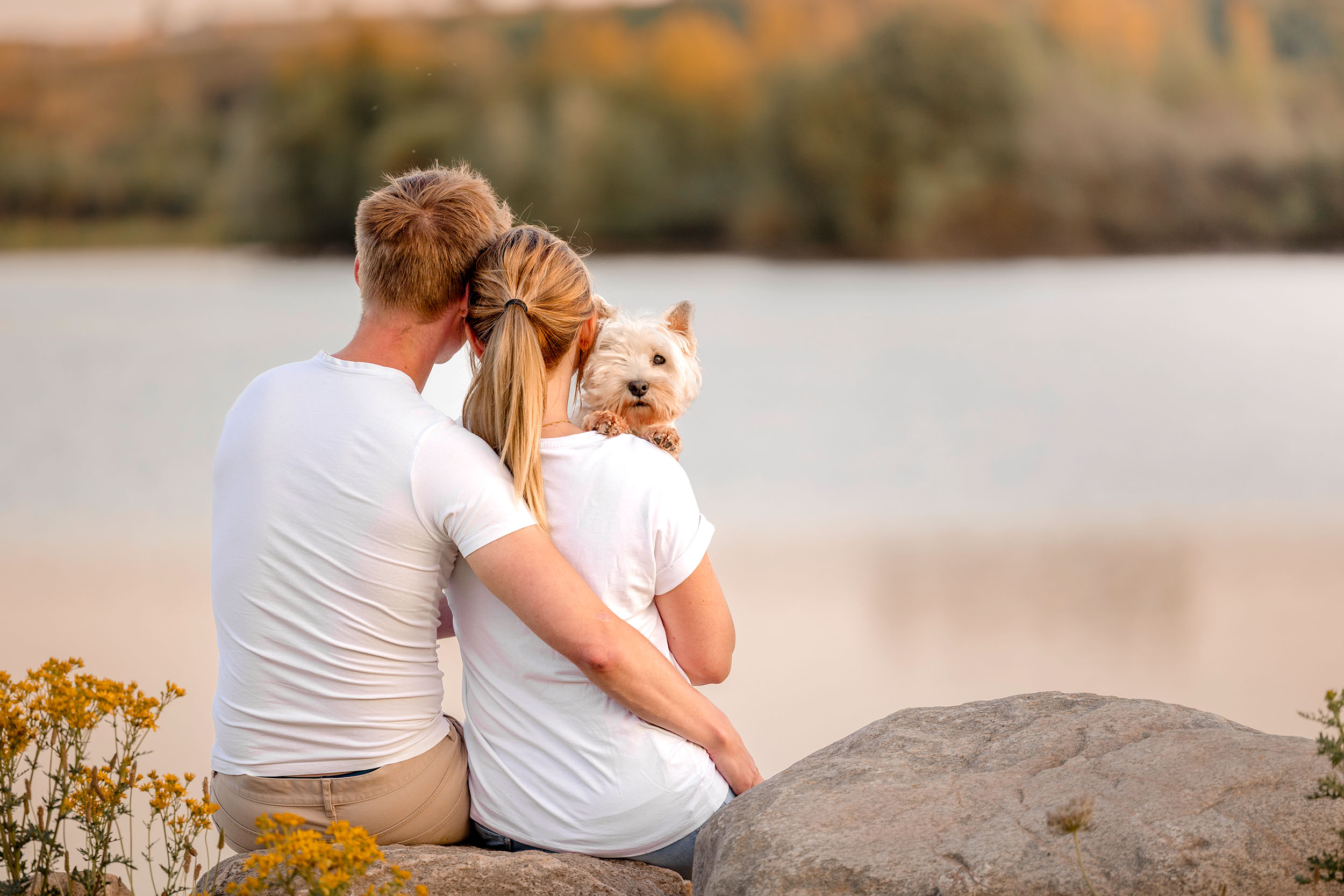 'End of life' hundefotografering af fotograf Connie Westergaard