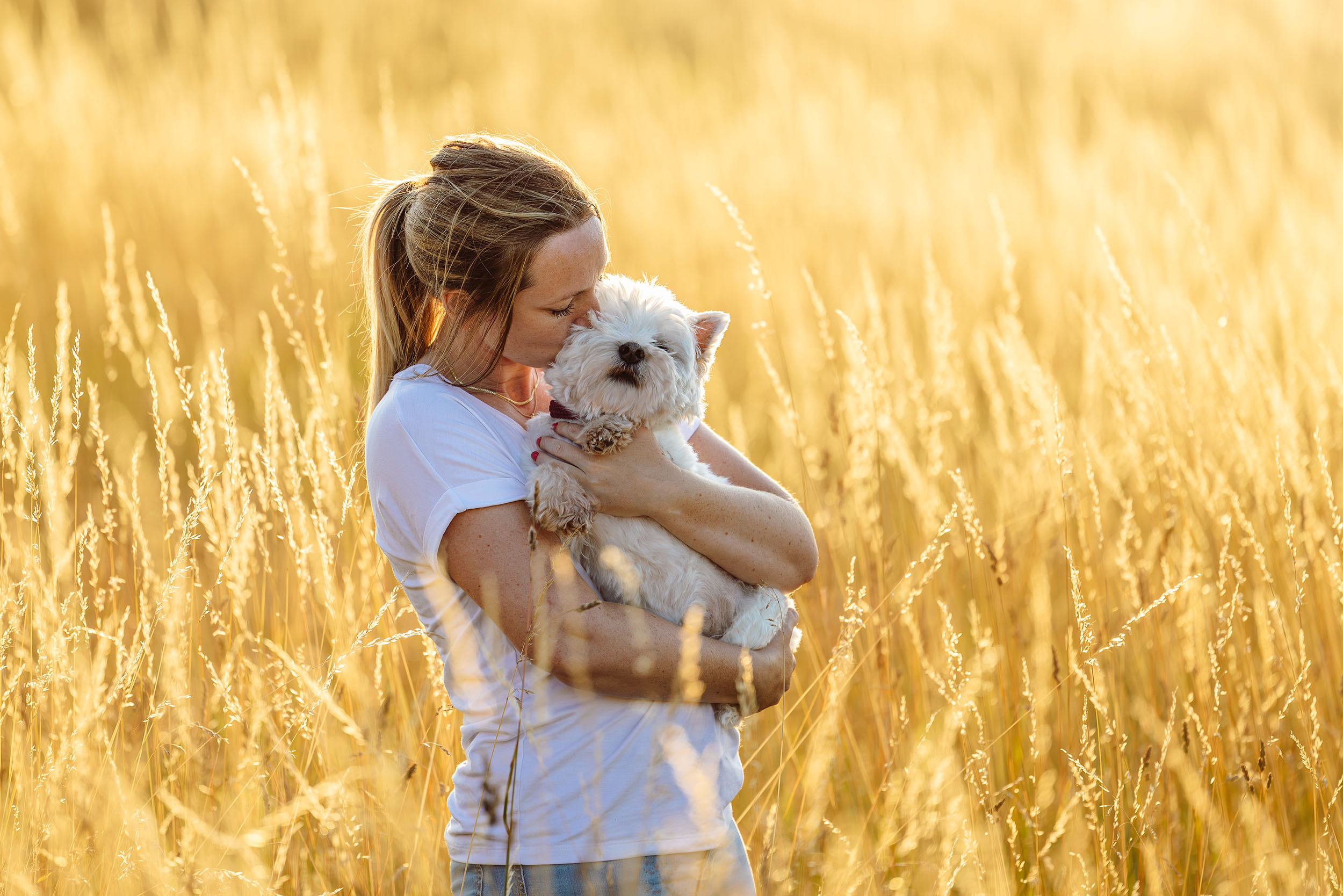 'End of life' hundefotografering af fotograf Connie Westergaard