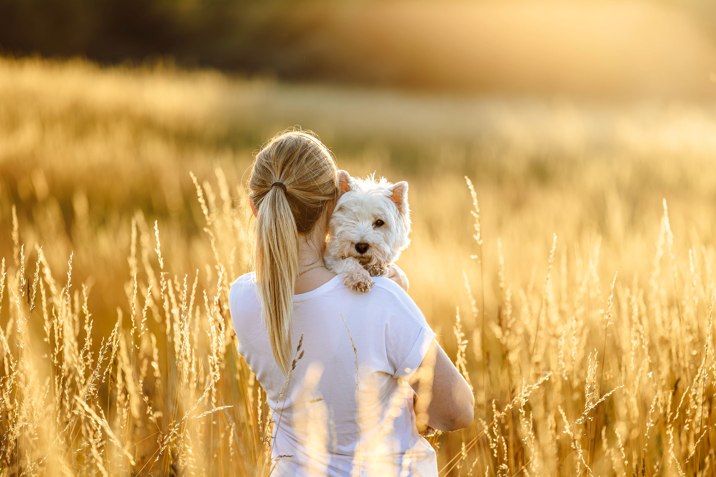 'End of life' hundefotografering af fotograf Connie Westergaard