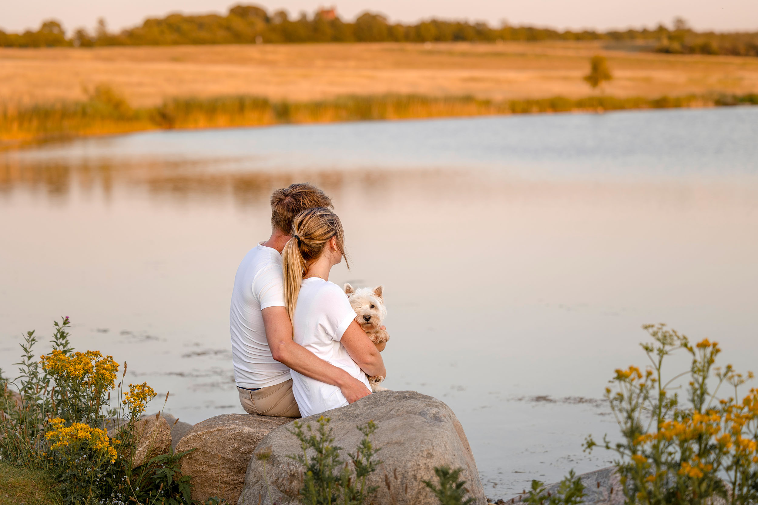 'End of life' hundefotografering af fotograf Connie Westergaard