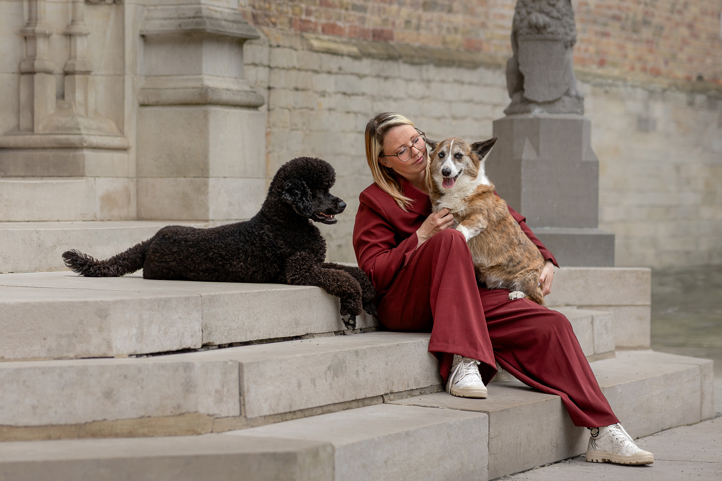 Hundefotografering af fotograf Connie Westergaard