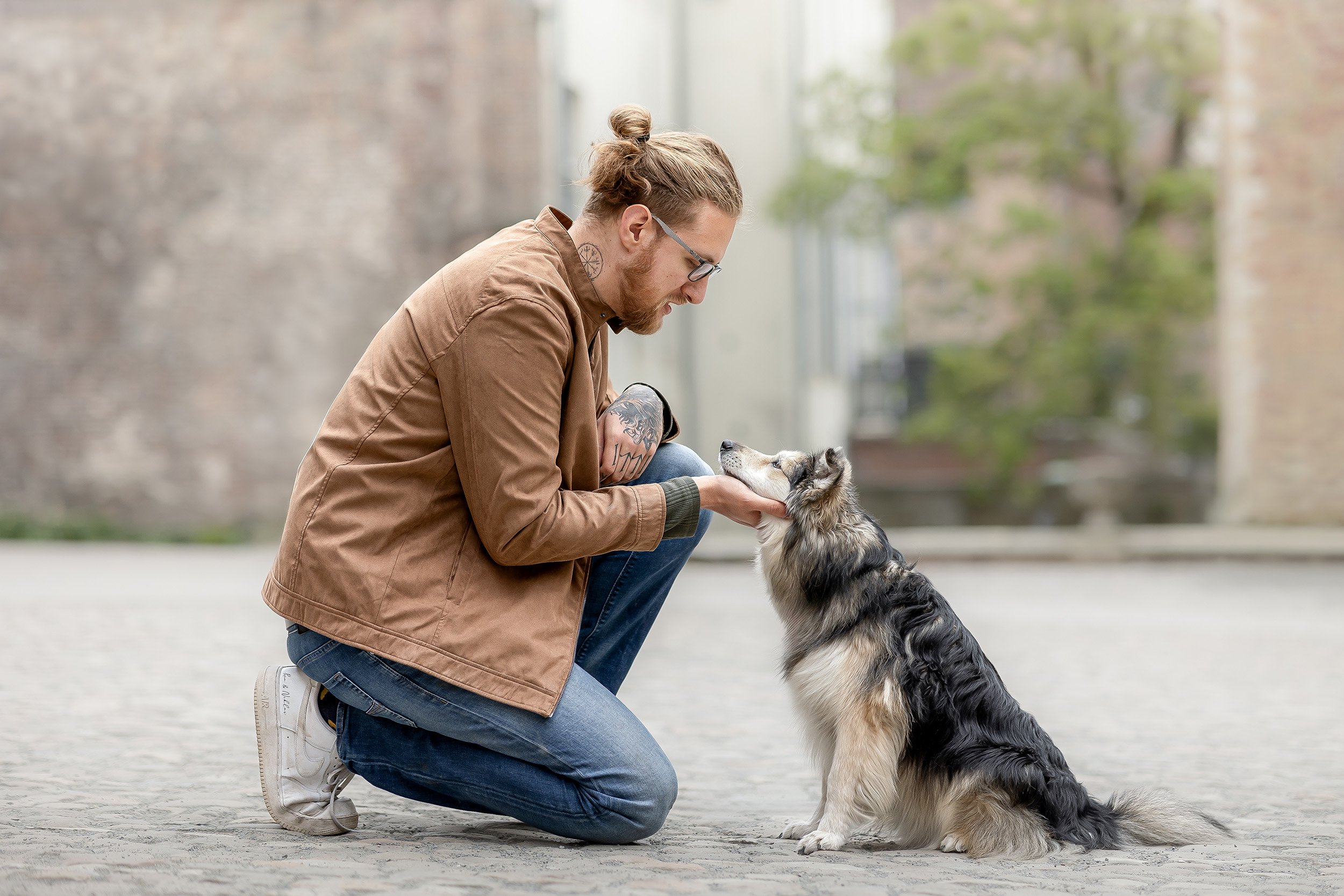 Hundefotografering af fotograf Connie Westergaard