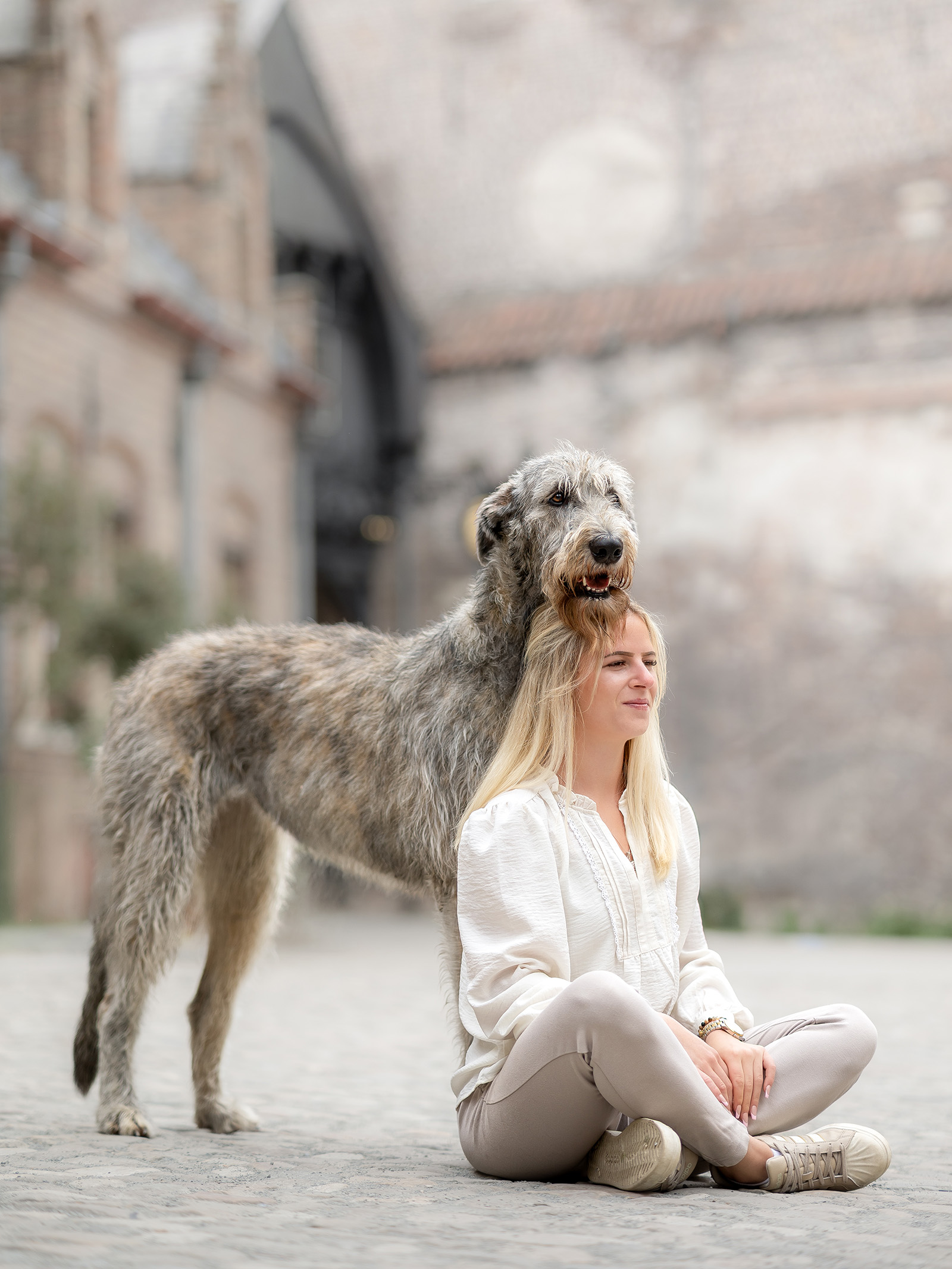 Hundefotografering af fotograf Connie Westergaard