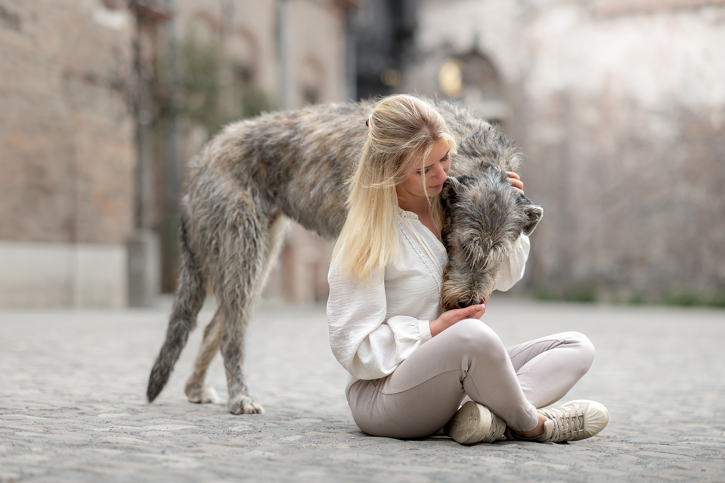 Hundefotografering af fotograf Connie Westergaard
