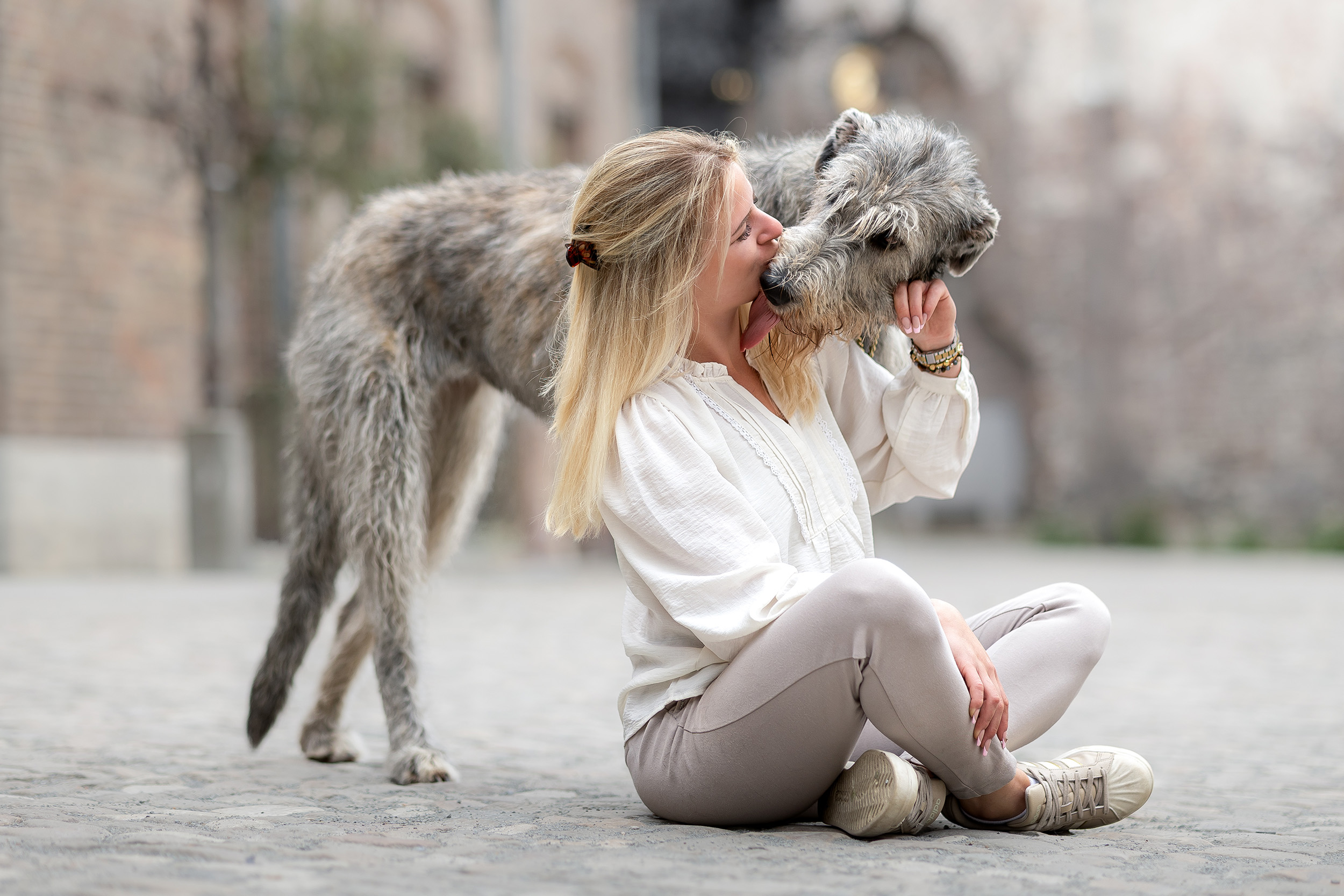 Hundefotografering af fotograf Connie Westergaard