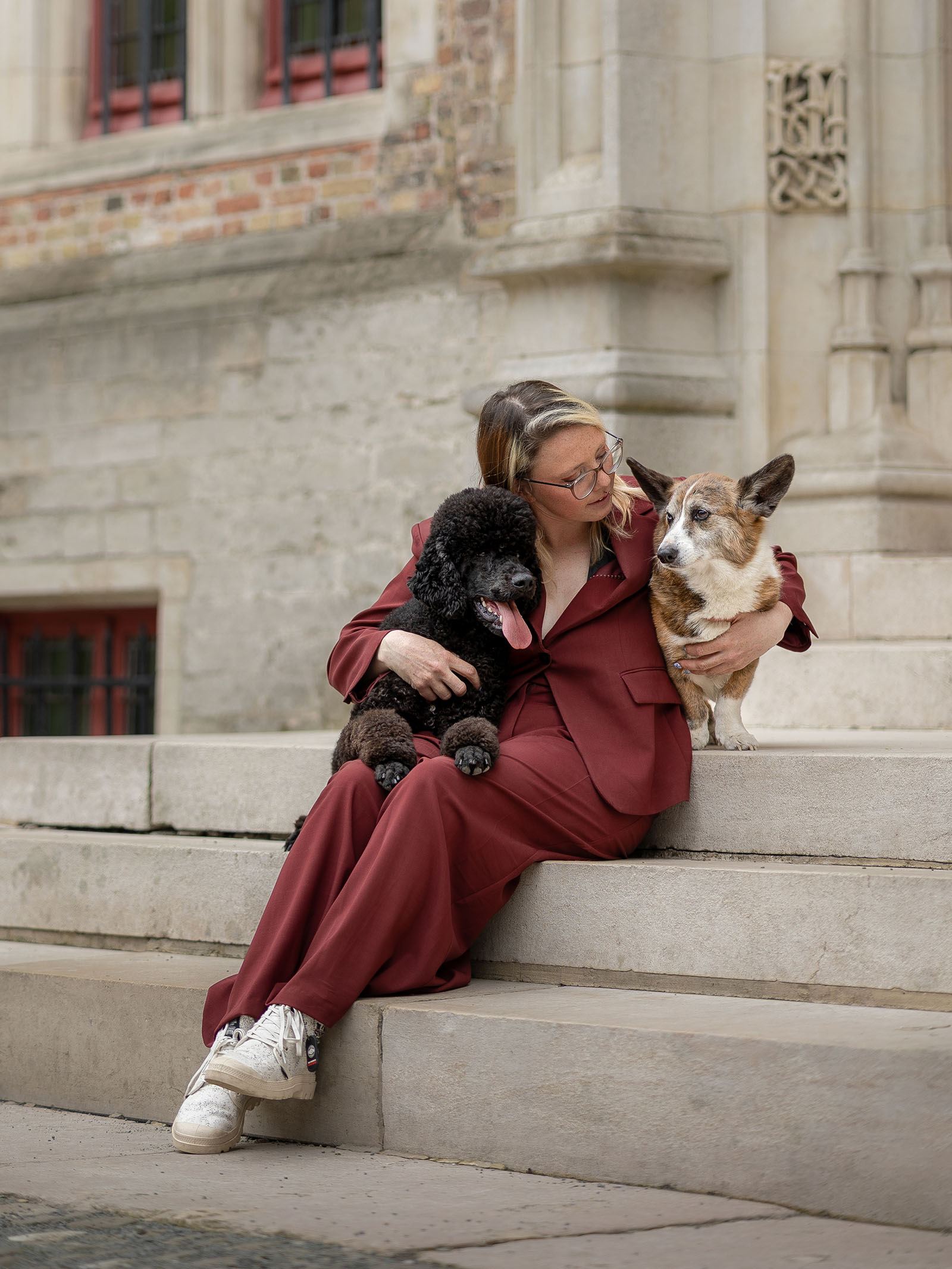 Hundefotografering af fotograf Connie Westergaard
