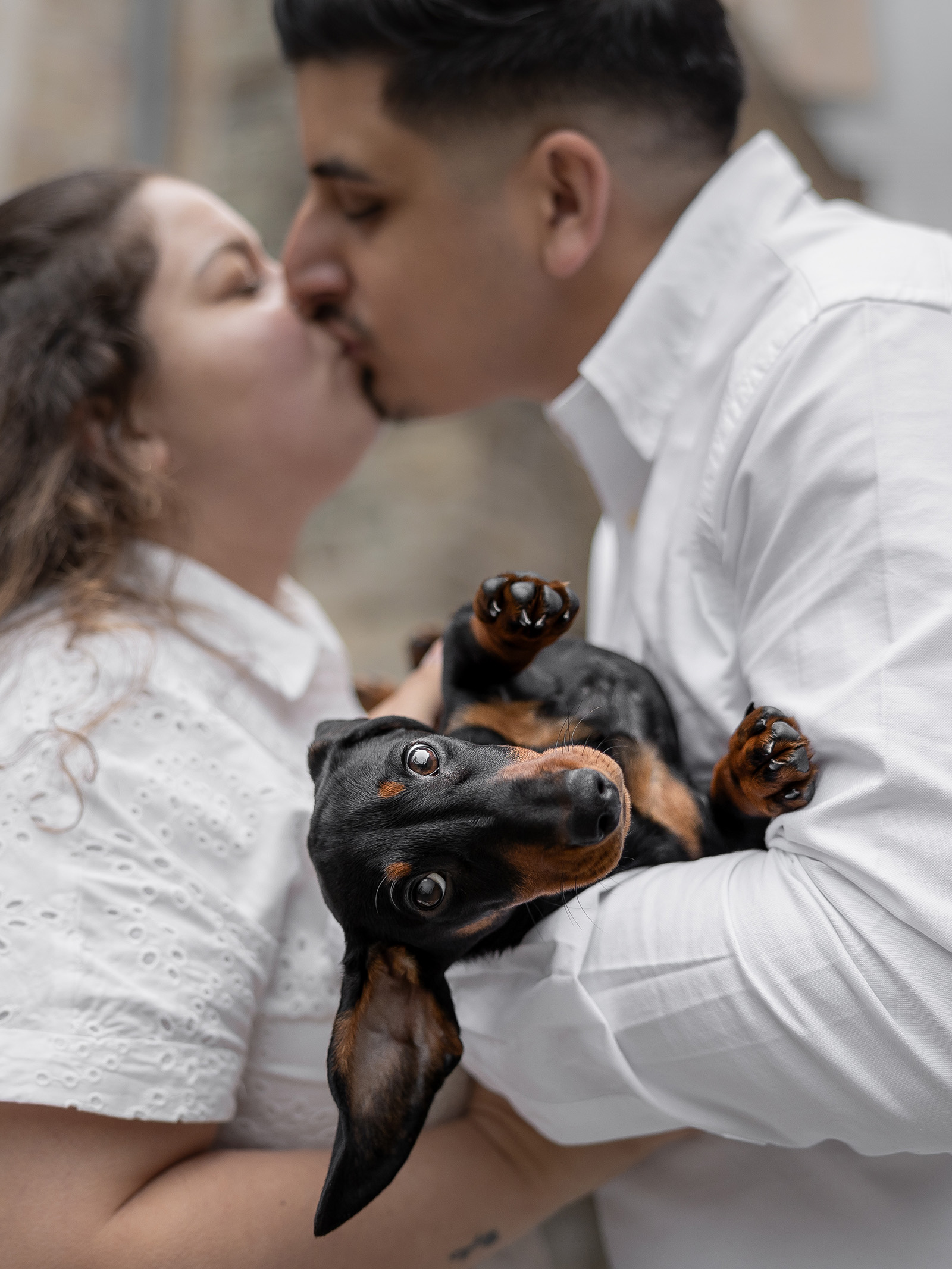 Hundefotografering af fotograf Connie Westergaard