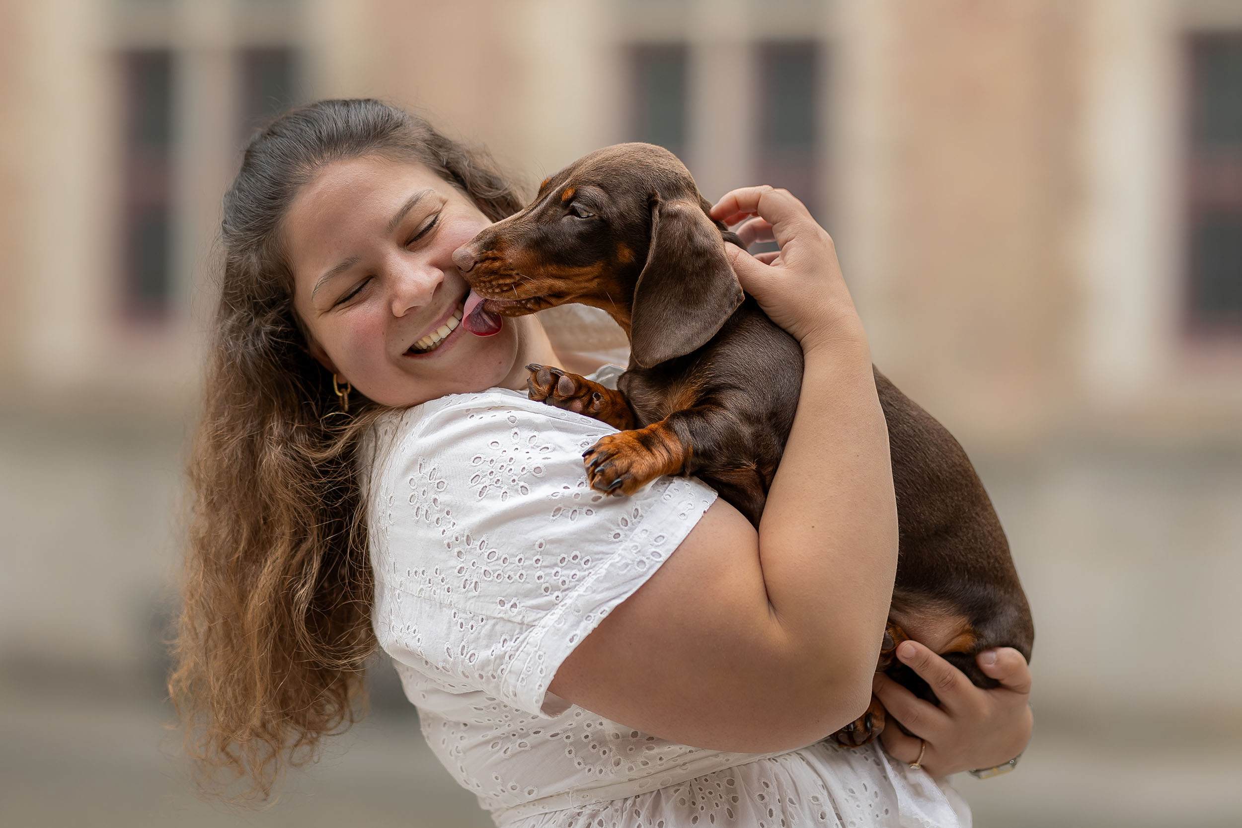 Hundefotografering af fotograf Connie Westergaard